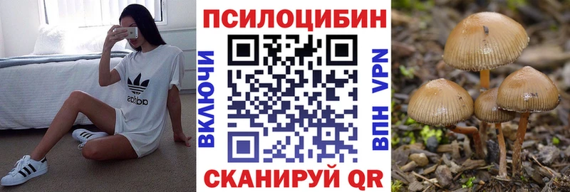 Псилоцибиновые грибы Psilocybine cubensis Урай